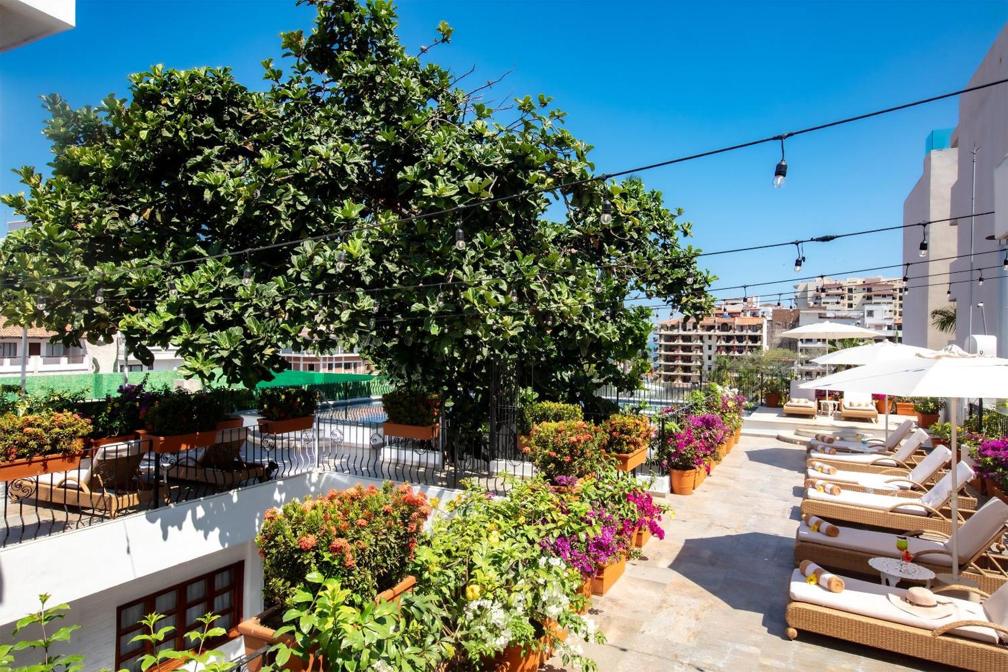 Casa Dona Susana (Adults Only) Пуерто Валярта Екстериор снимка